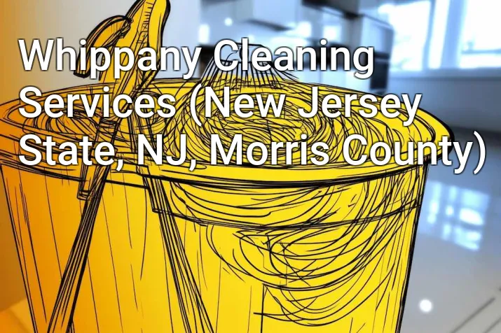 Whippany Cleaning Services (New Jersey State, NJ, Morris County)