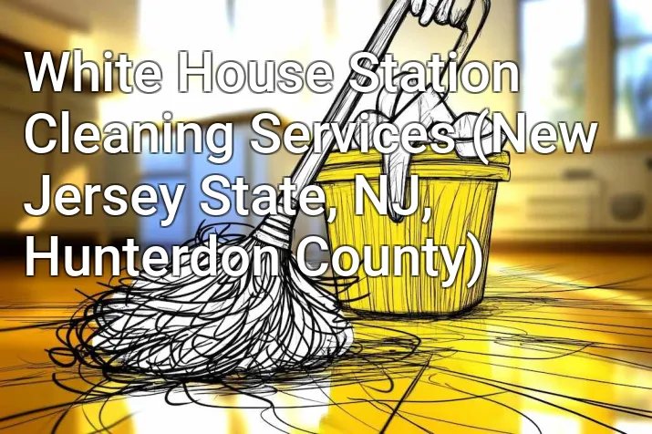 White House Station Cleaning Services (New Jersey State, NJ, Hunterdon County)