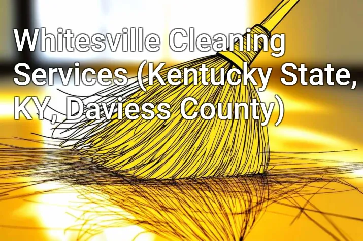 Whitesville Cleaning Services (Kentucky State, KY, Daviess County)