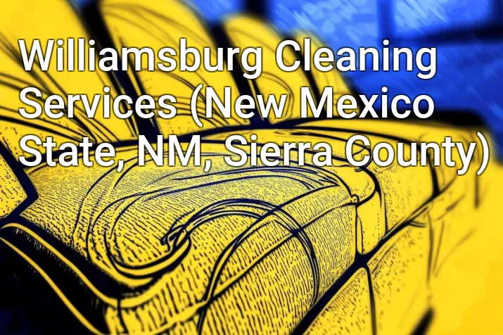 Williamsburg Cleaning Services (New Mexico State, NM, Sierra County)
