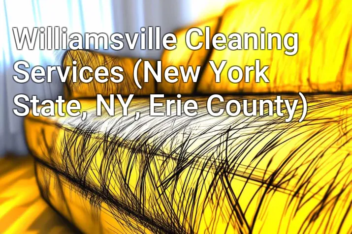 Williamsville Cleaning Services (New York State, NY, Erie County)