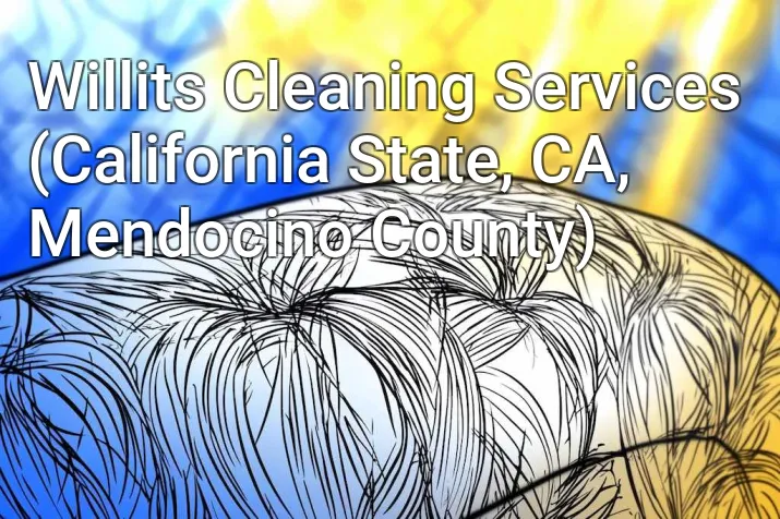 Willits Cleaning Services (California State, CA, Mendocino County)