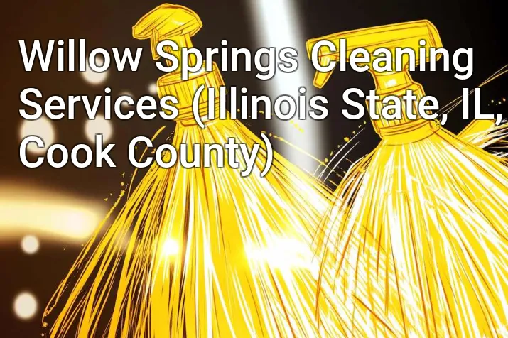 Willow Springs Cleaning Services (Illinois State, IL, Cook County)