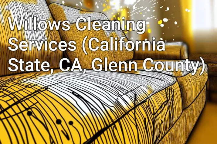 Willows Cleaning Services (California State, CA, Glenn County)
