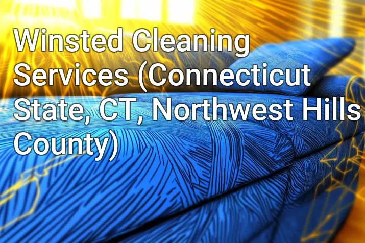 Winsted Cleaning Services (Connecticut State, CT, Northwest Hills County)