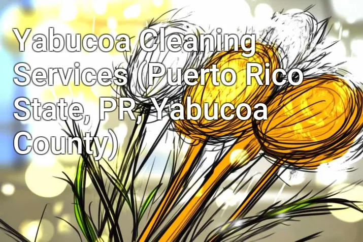 Yabucoa Cleaning Services (Puerto Rico State, PR, Yabucoa County)