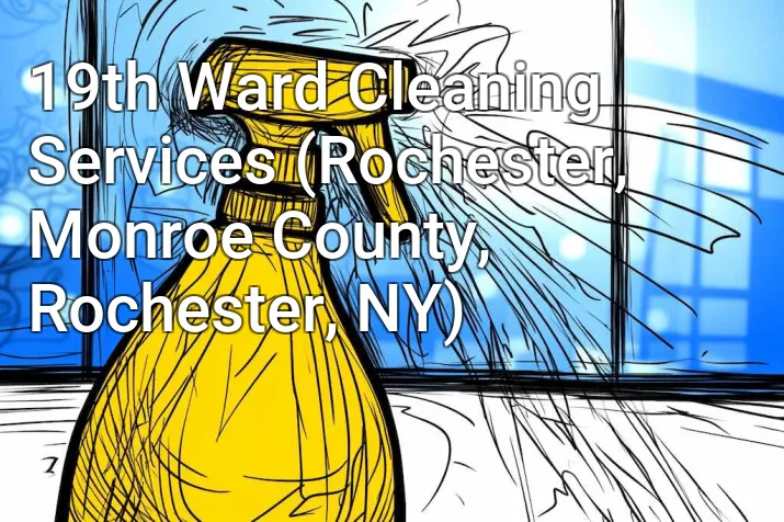 19th Ward Cleaning Services (Rochester, Monroe County, Rochester, NY)