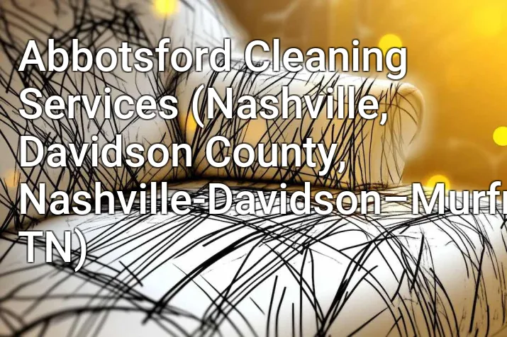 Abbotsford Cleaning Services (Nashville, Davidson County, Nashville-Davidson–Murfreesboro–Franklin, TN)