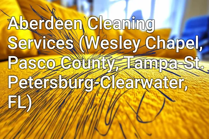 Aberdeen Cleaning Services (Wesley Chapel, Pasco County, Tampa-St. Petersburg-Clearwater, FL)