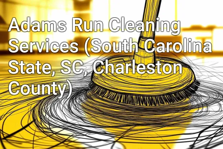 Adams Run Cleaning Services (South Carolina State, SC, Charleston County)