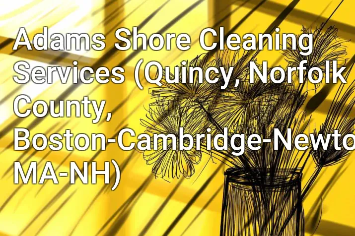 Adams Shore Cleaning Services (Quincy, Norfolk County, Boston-Cambridge-Newton, MA-NH)