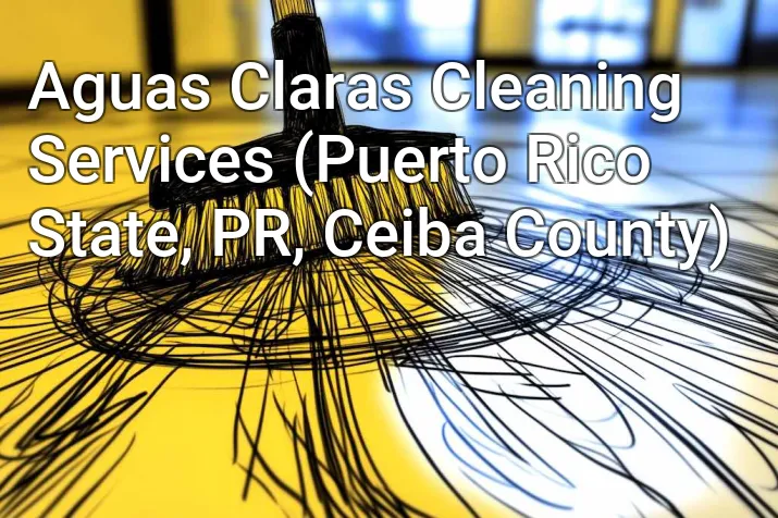 Aguas Claras Cleaning Services (Puerto Rico State, PR, Ceiba County)