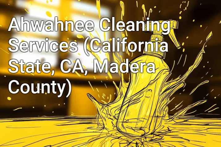 Ahwahnee Cleaning Services (California State, CA, Madera County)