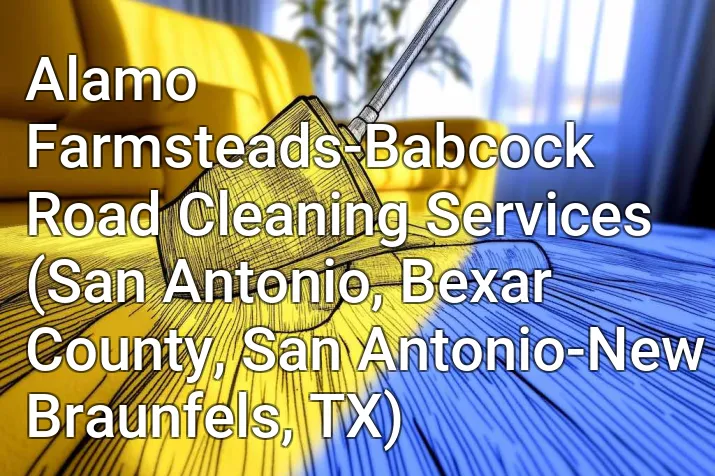 Alamo Farmsteads-Babcock Road Cleaning Services (San Antonio, Bexar County, San Antonio-New Braunfels, TX)