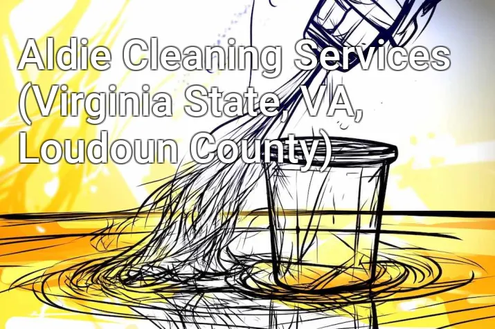 Aldie Cleaning Services (Virginia State, VA, Loudoun County)