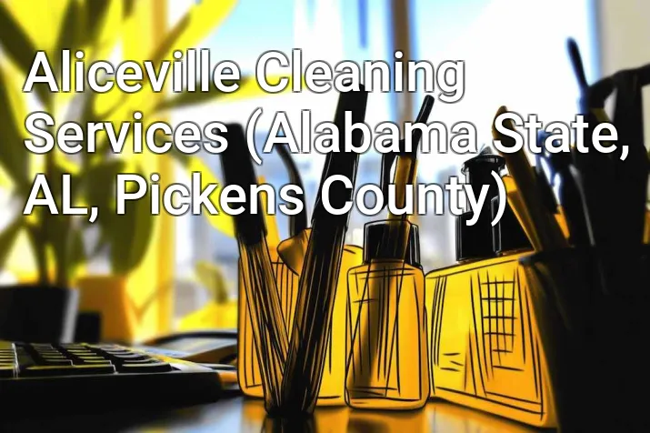 Aliceville Cleaning Services (Alabama State, AL, Pickens County)
