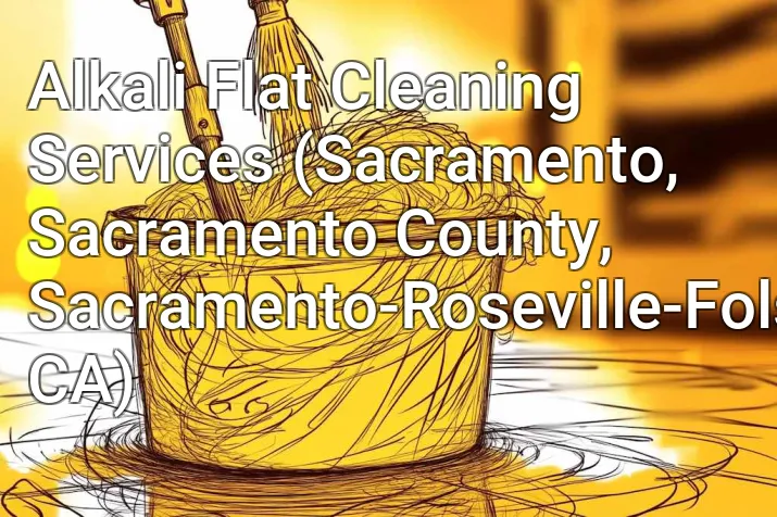 Alkali Flat Cleaning Services (Sacramento, Sacramento County, Sacramento-Roseville-Folsom, CA)