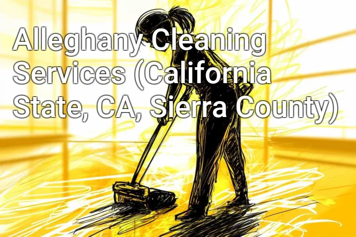 Alleghany Cleaning Services (California State, CA, Sierra County)