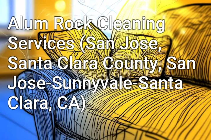Alum Rock Cleaning Services (San Jose, Santa Clara County, San Jose-Sunnyvale-Santa Clara, CA)