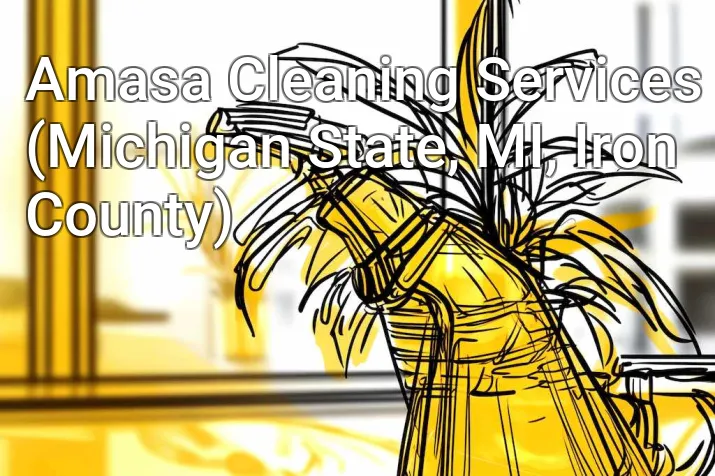 Amasa Cleaning Services (Michigan State, MI, Iron County)