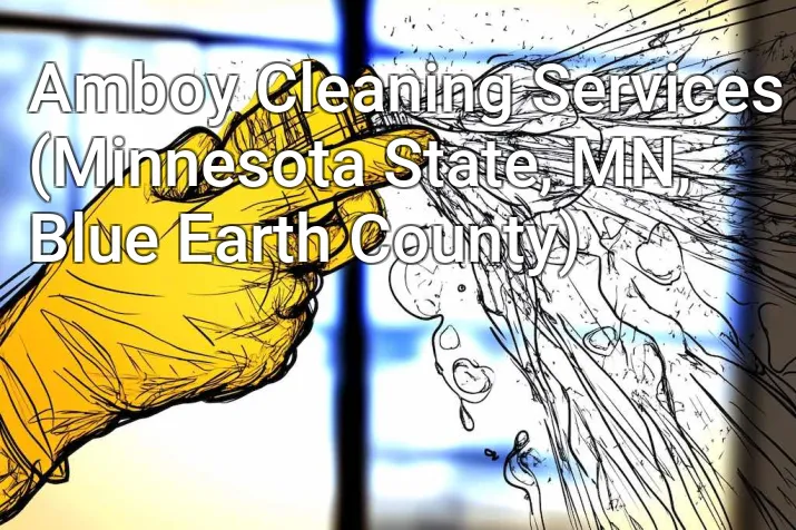 Amboy Cleaning Services (Minnesota State, MN, Blue Earth County)