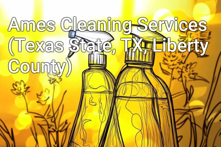 Ames Cleaning Services (Texas State, TX, Liberty County)