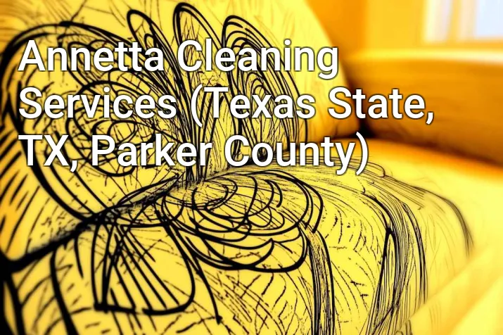 Annetta Cleaning Services (Texas State, TX, Parker County)