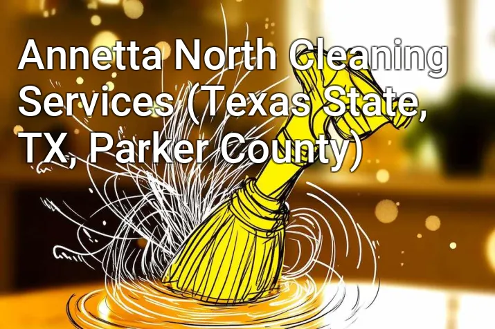 Annetta North Cleaning Services (Texas State, TX, Parker County)