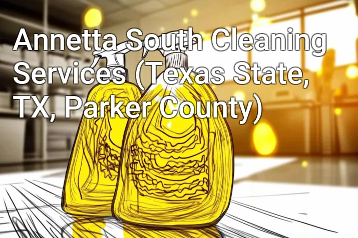 Annetta South Cleaning Services (Texas State, TX, Parker County)