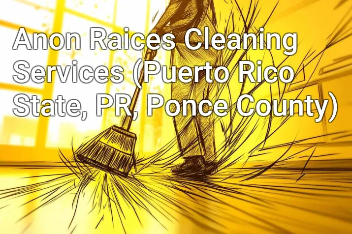 Anon Raices Cleaning Services (Puerto Rico State, PR, Ponce County)