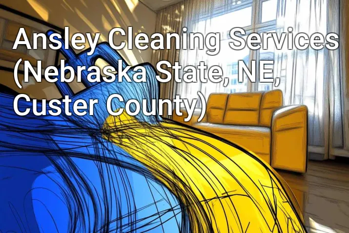 Ansley Cleaning Services (Nebraska State, NE, Custer County)
