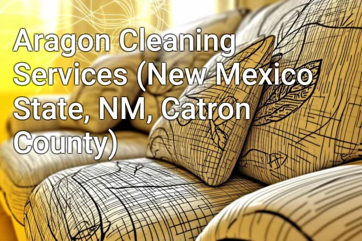 Aragon Cleaning Services (New Mexico State, NM, Catron County)