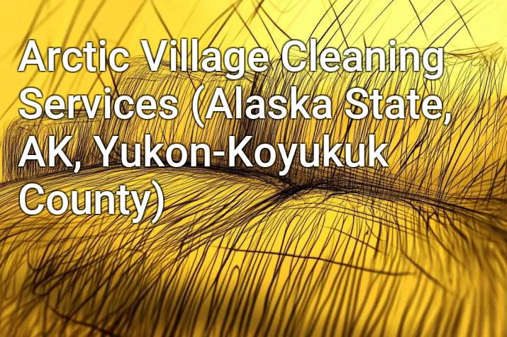 Arctic Village Cleaning Services (Alaska State, AK, Yukon-Koyukuk County)