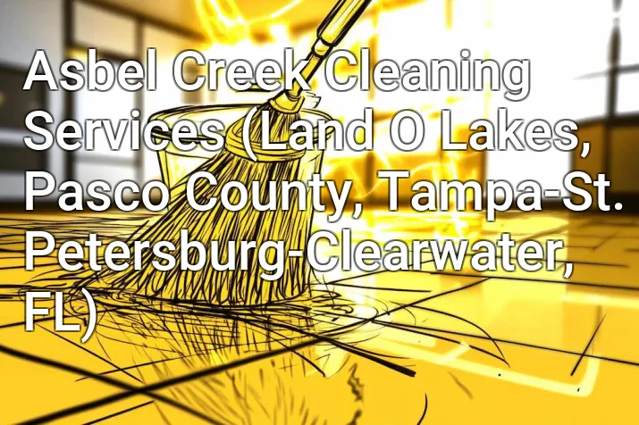 Asbel Creek Cleaning Services (Land O Lakes, Pasco County, Tampa-St. Petersburg-Clearwater, FL)
