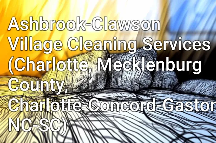 Ashbrook-Clawson Village Cleaning Services (Charlotte, Mecklenburg County, Charlotte-Concord-Gastonia, NC-SC)