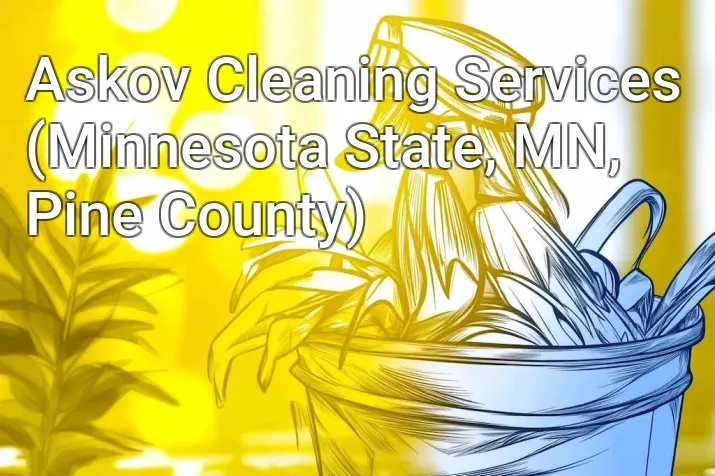Askov Cleaning Services (Minnesota State, MN, Pine County)