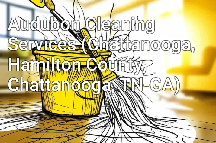 Audubon Cleaning Services (Chattanooga, Hamilton County, Chattanooga, TN-GA)