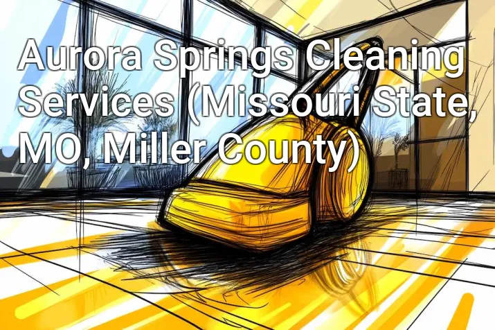 Aurora Springs Cleaning Services (Missouri State, MO, Miller County)