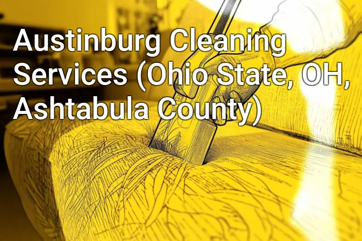 Austinburg Cleaning Services (Ohio State, OH, Ashtabula County)