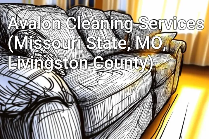 Avalon Cleaning Services (Missouri State, MO, Livingston County)