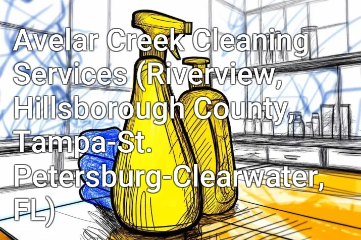 Avelar Creek Cleaning Services (Riverview, Hillsborough County, Tampa-St. Petersburg-Clearwater, FL)