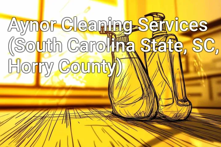 Aynor Cleaning Services (South Carolina State, SC, Horry County)
