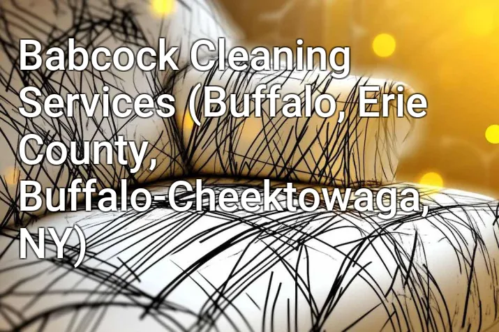 Babcock Cleaning Services (Buffalo, Erie County, Buffalo-Cheektowaga, NY)