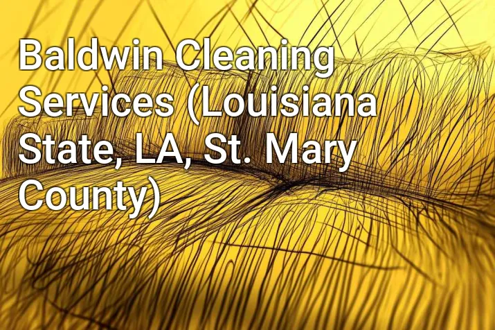 Baldwin Cleaning Services (Louisiana State, LA, St. Mary County)