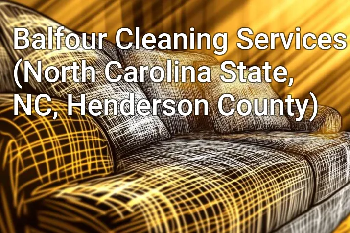 Balfour Cleaning Services (North Carolina State, NC, Henderson County)