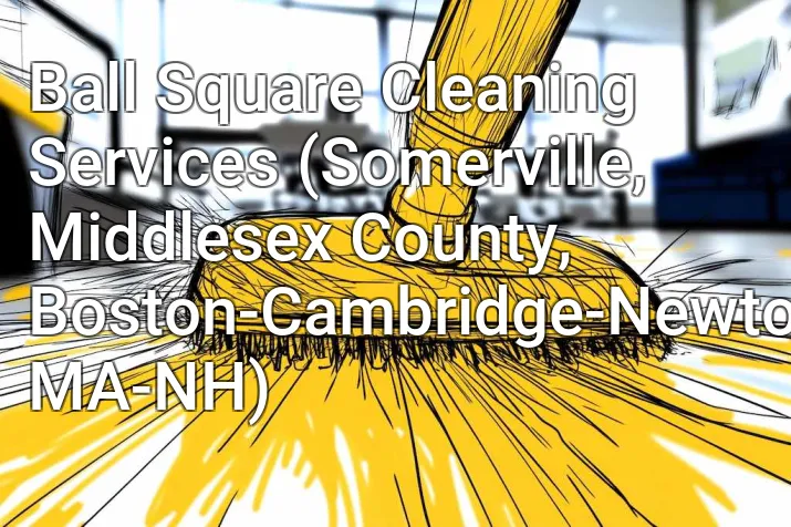 Ball Square Cleaning Services (Somerville, Middlesex County, Boston-Cambridge-Newton, MA-NH)