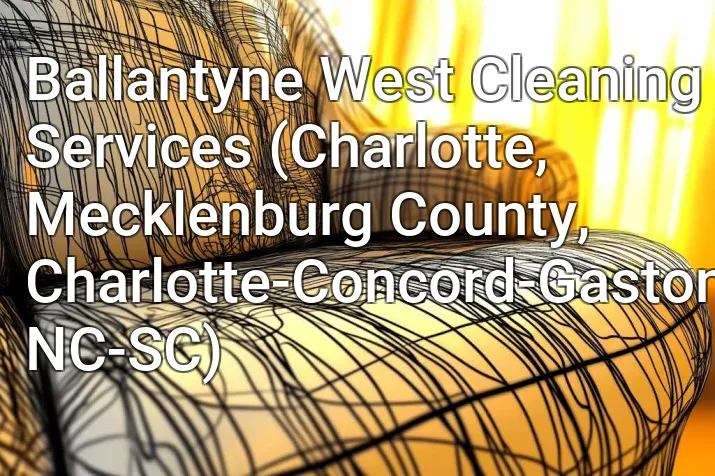 Ballantyne West Cleaning Services (Charlotte, Mecklenburg County, Charlotte-Concord-Gastonia, NC-SC)