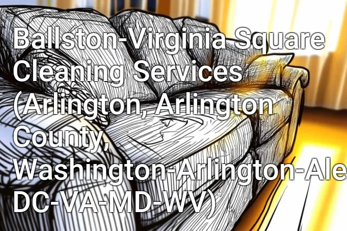 Ballston-Virginia Square Cleaning Services (Arlington, Arlington County, Washington-Arlington-Alexandria, DC-VA-MD-WV)
