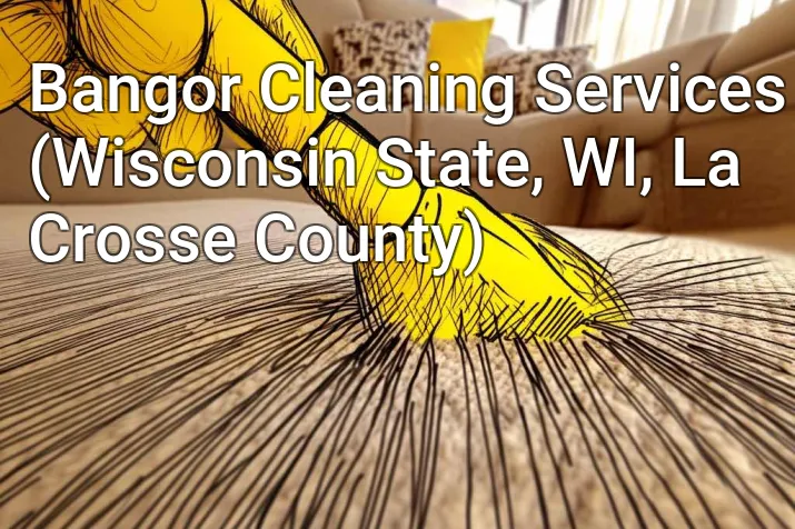 Bangor Cleaning Services (Wisconsin State, WI, La Crosse County)