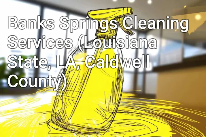Banks Springs Cleaning Services (Louisiana State, LA, Caldwell County)